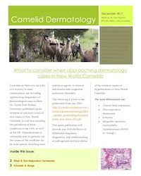 Camelid Dermatology by Dr. Corey Regnerus