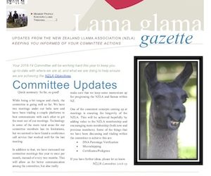 Lama Glama Gazette: Issue 2 Vol 1 2018