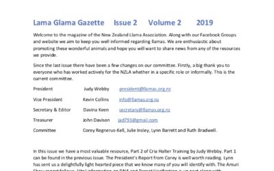 Lama Glama Gazette: Issue 2 Vol 2 2019